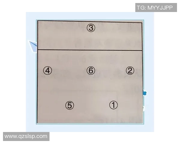 上海排球队中路突破的优劣分析与战术调整探讨