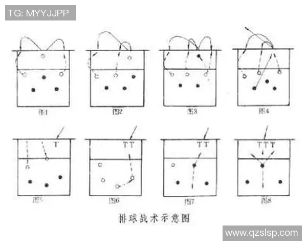 上海排球队中路突破分析与战术反思探讨