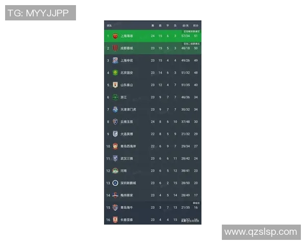 上海排球队在钻石联赛积分榜上以65分稳居第一名展现强劲实力