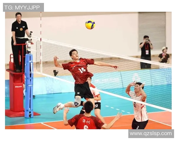 上海排球队的战术转型与深度解析探索排球运动的未来发展之路