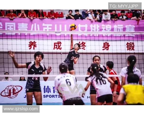 上海排球队的拼搏之路与挑战赛背后的奋斗故事