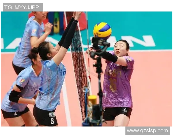 上海排球队状态深度对比分析与未来发展趋势探讨