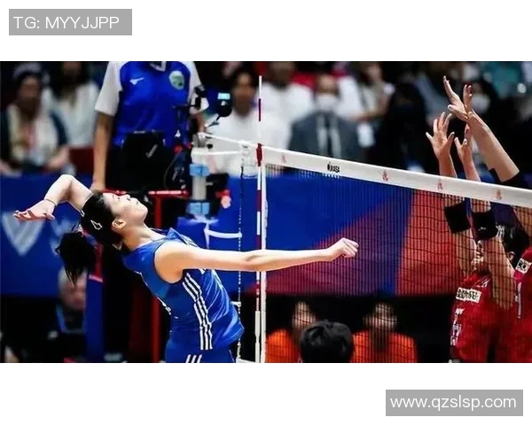 上海排球队灵活性引发热议球迷与专家观点交锋分析