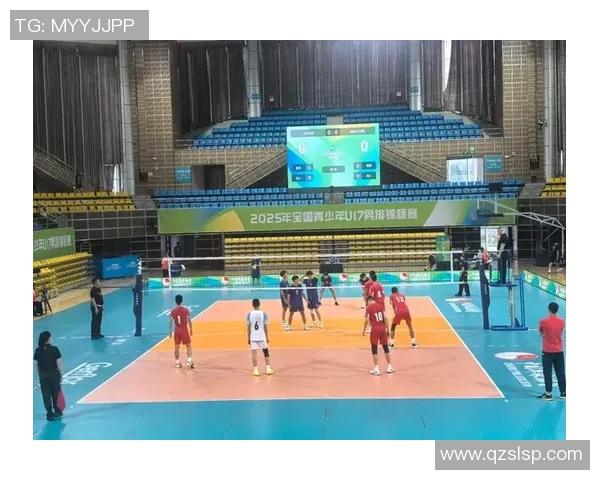 上海排球队荣登排球配合排行榜第一名实力不容小觑