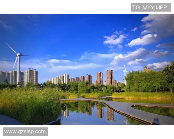 上海排球队的蜕变之路：从传统强队到现代化竞技新标杆