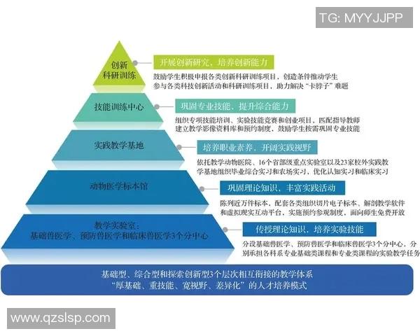 上海排球队速度变革引发热议全新战术与训练模式的探索与实践