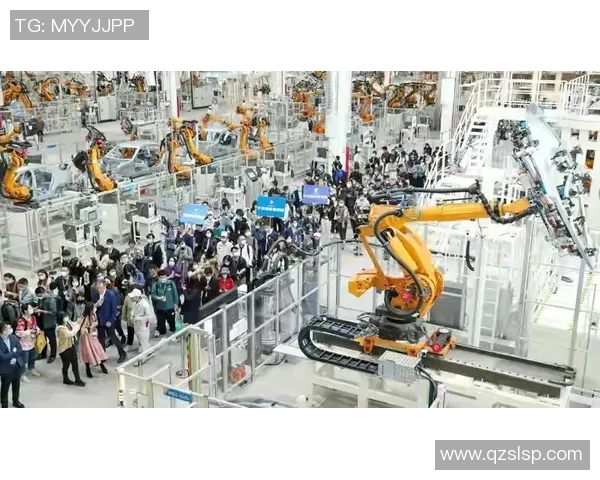 上海排球队的蜕变之旅：从传统强队到世界舞台的新生力量