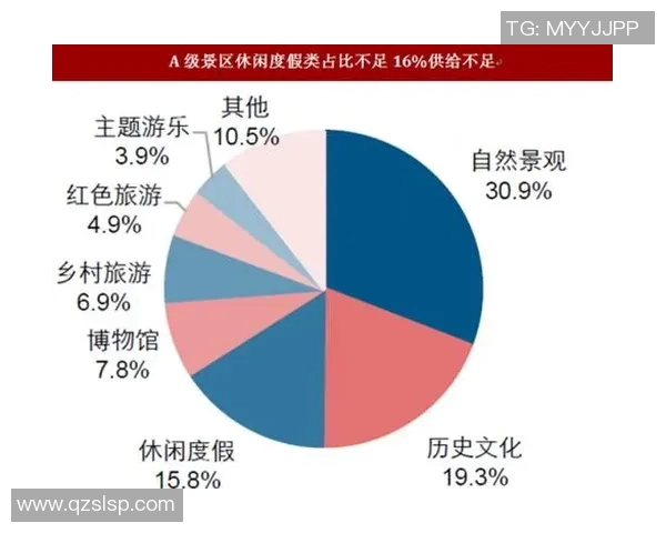 上海排球队运营策略分析与发展前景探讨