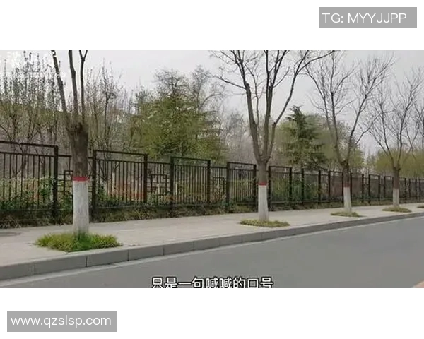 上海篮球队快攻革新之路探索与实践全景解析